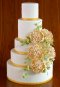 Elegantly Iced Custam cakes Wedding cake