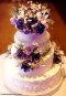 Elegantly Iced Custam cakes Wedding cake