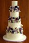 Elegantly Iced Custam cakes Wedding cake