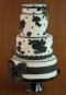 Elegantly Iced Custam cakes Wedding cake